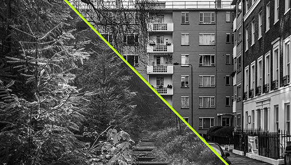 a picture split diagonally in half with half being a forest and the other half being a building
